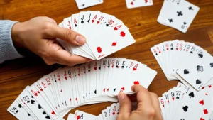 Close-up of hands holding fanned-out canasta cards with multiple decks spread on a wooden table, showing cards with suits and ranks clearly visible, natural lighting from above