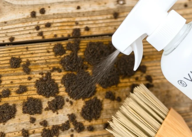 Remove Mold from Wood: Expert Tips Revealed